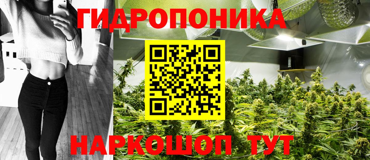 Шишки марихуана сатива  МАРИХУАНА VHQ  Вход с VPN  Чернушка 
